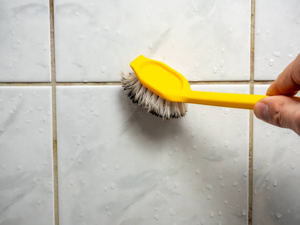  Wrens, GA Mold Removal Pros