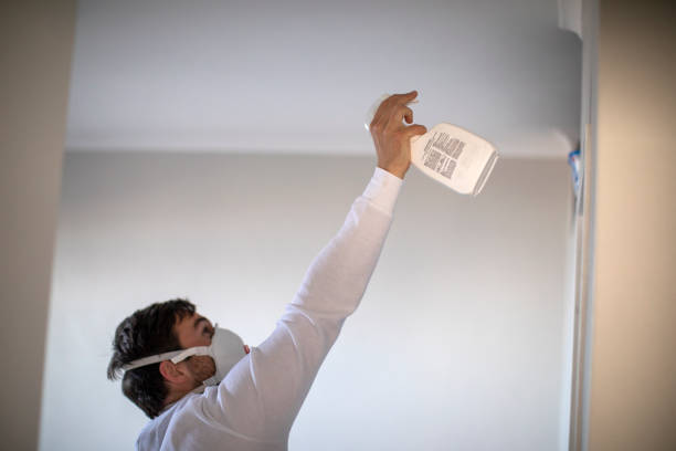 Best Mold Testing and Inspection Services in Wrens, GA