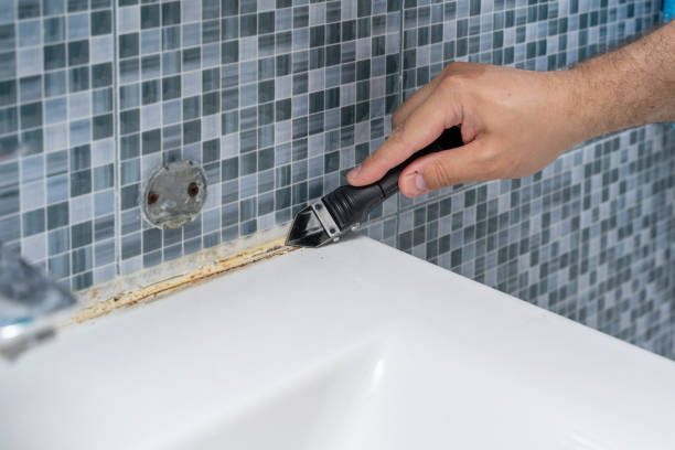 Best HVAC Mold Remediation in Wrens, GA